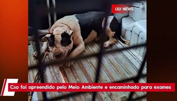 Mulher é atacada por cão e fica ferida no bairro Osvaldo Aranha, em Ijuí