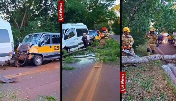 Árvore sobre a pista provoca colisão entre duas vans e deixa dois feridos na ERS-155, em Ijuí